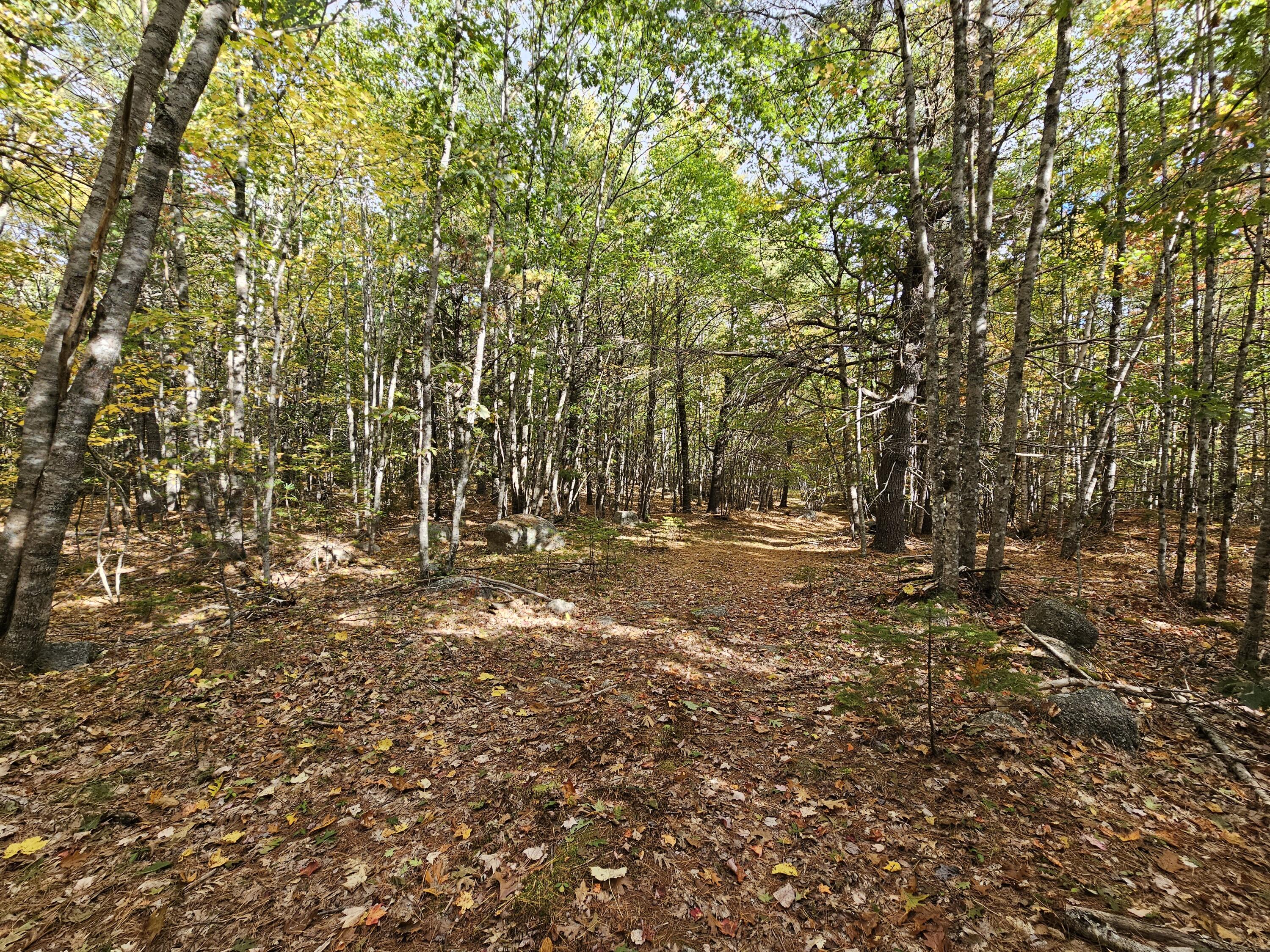 Green Field, Off Georges Pond Road Franklin ME 04634