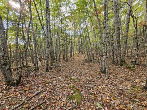 Green Field, Off Georges Pond Road Franklin ME 04634