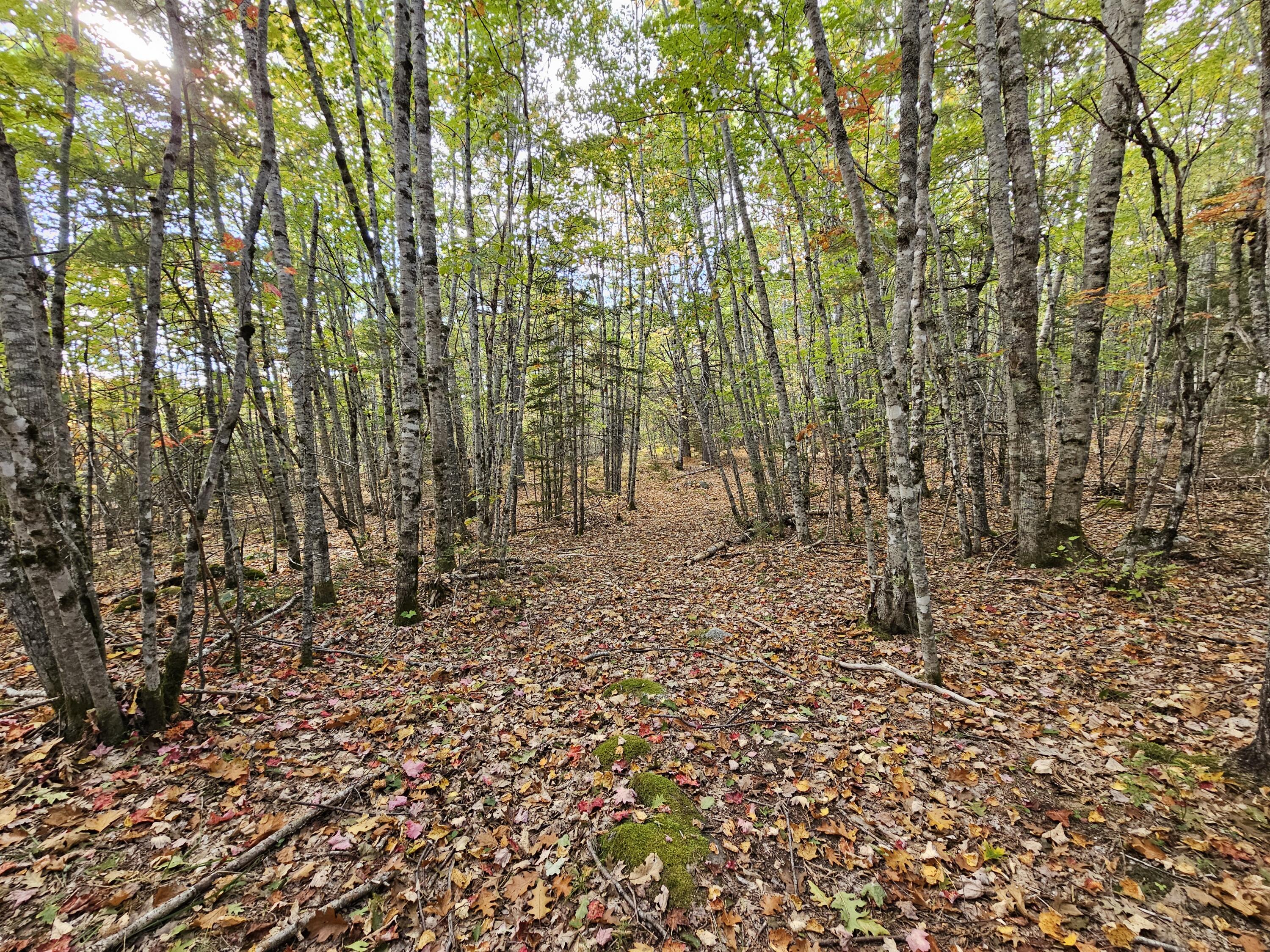 Green Field, Off Georges Pond Road Franklin ME 04634