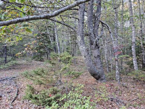 Green Field, Off Georges Pond Road Franklin ME 04634
