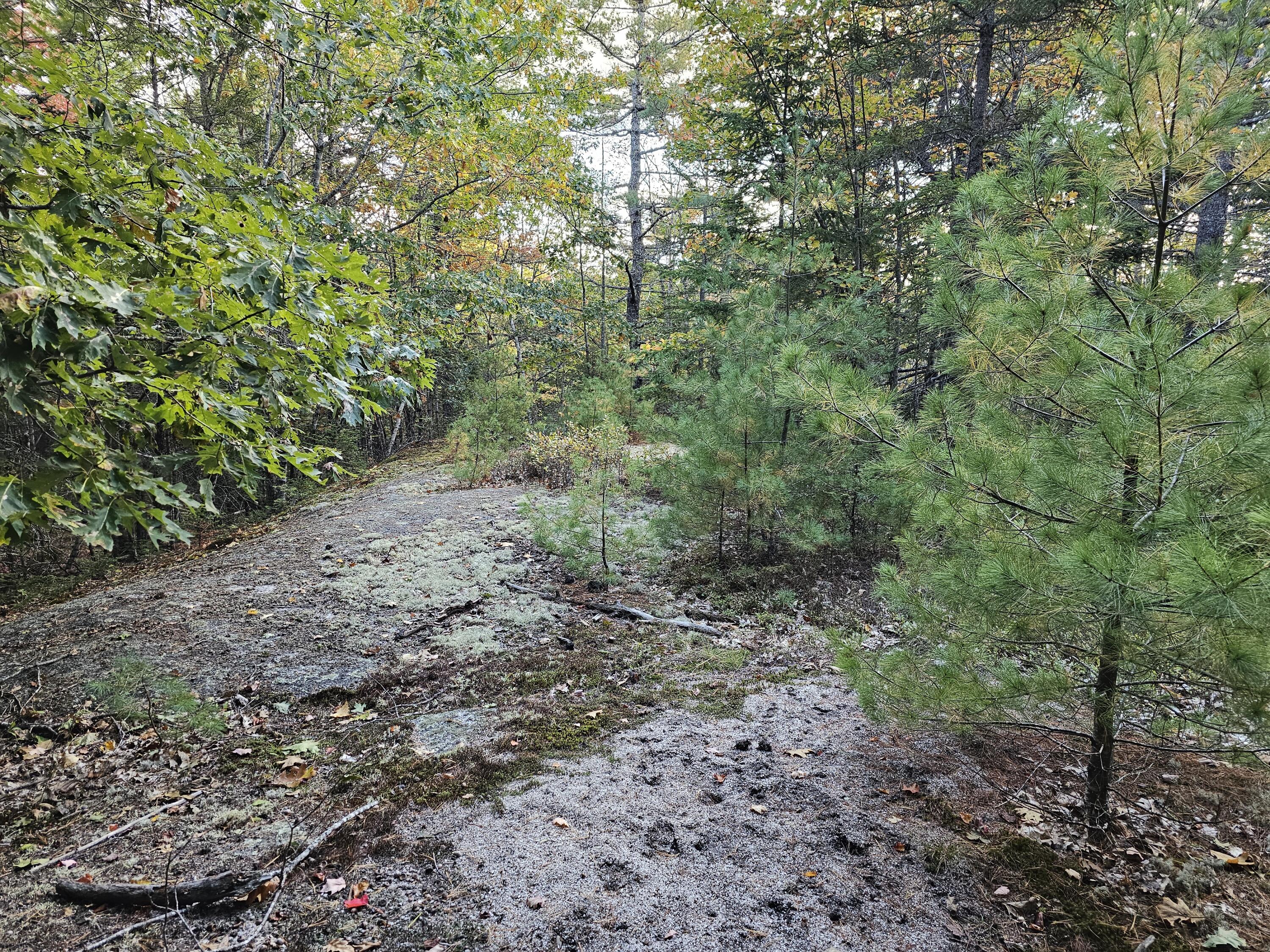 Green Field, Off Georges Pond Road Franklin ME 04634