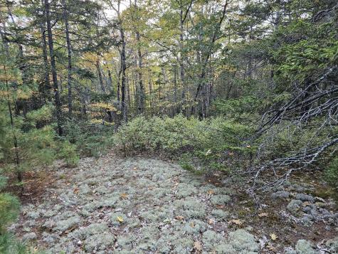 Green Field, Off Georges Pond Road Franklin ME 04634