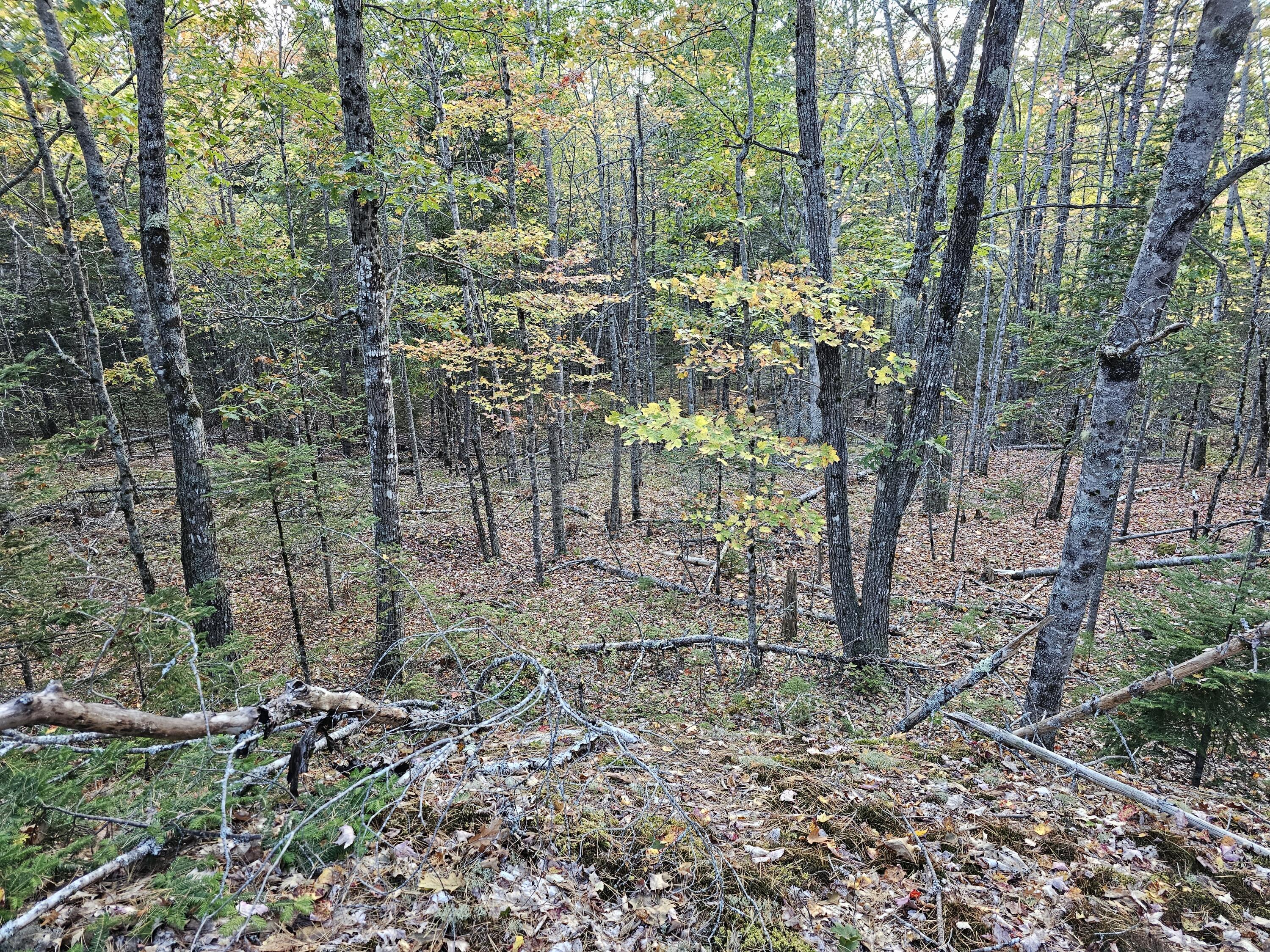 Green Field, Off Georges Pond Road Franklin ME 04634