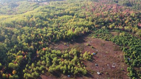 Green Field, Off Georges Pond Road Franklin ME 04634
