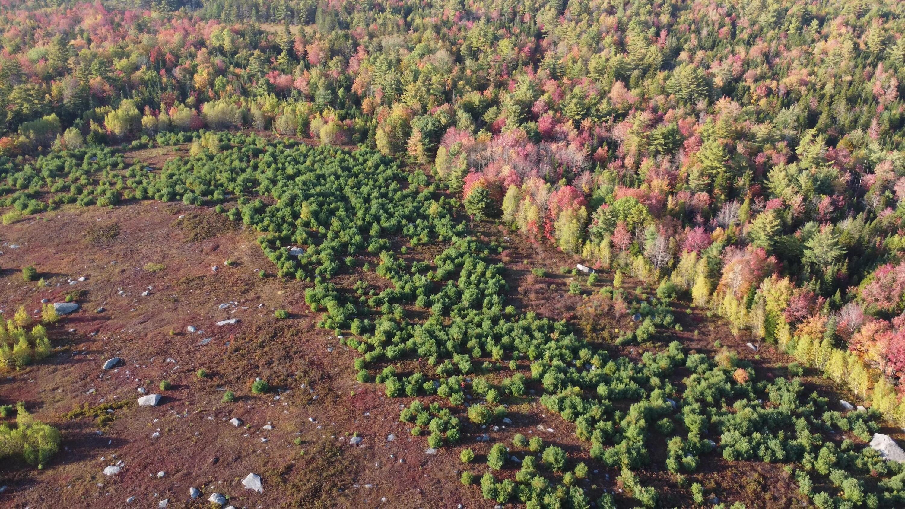 Green Field, Off Georges Pond Road Franklin ME 04634