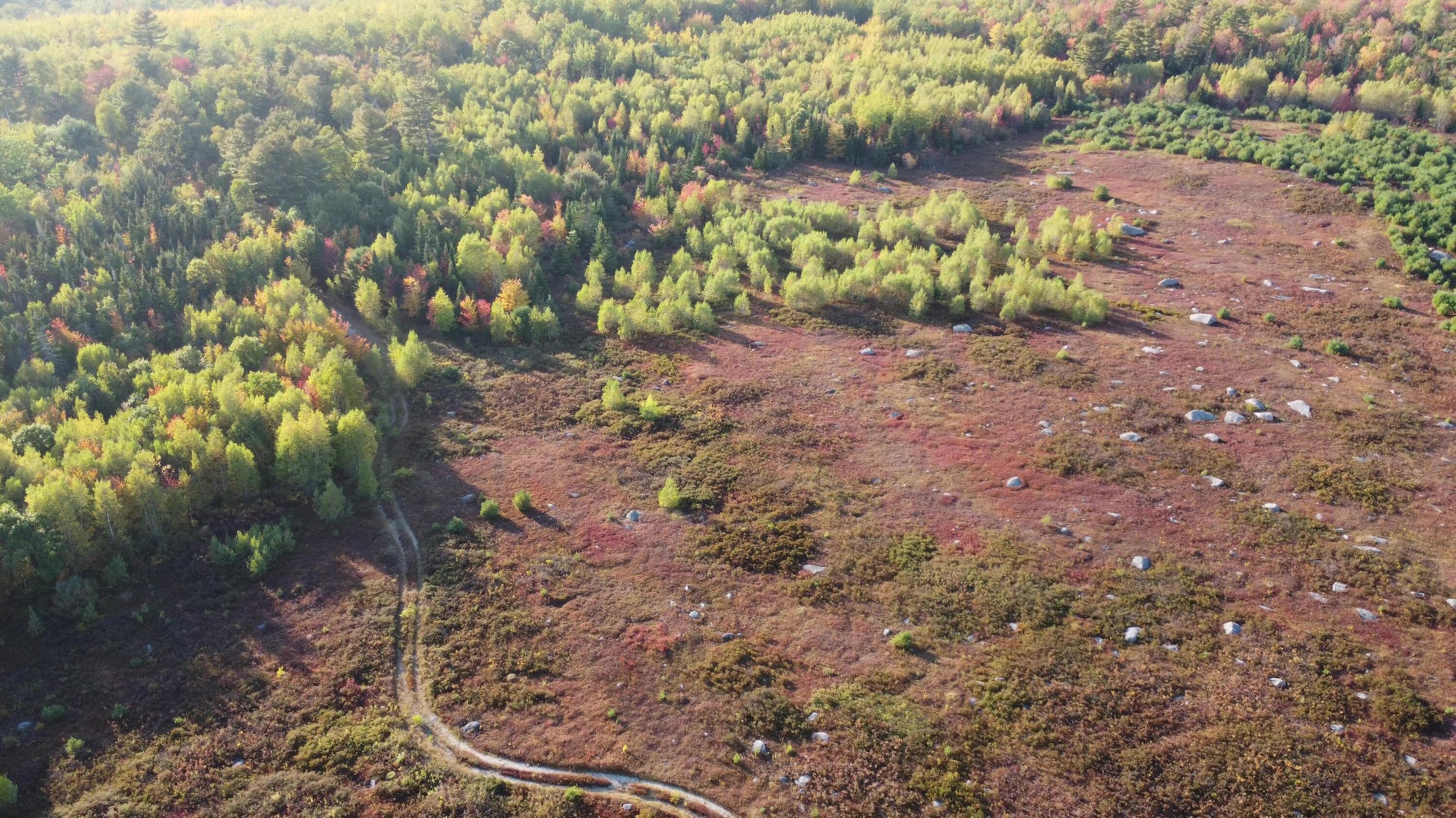 Green Field, Off Georges Pond Road Franklin ME 04634