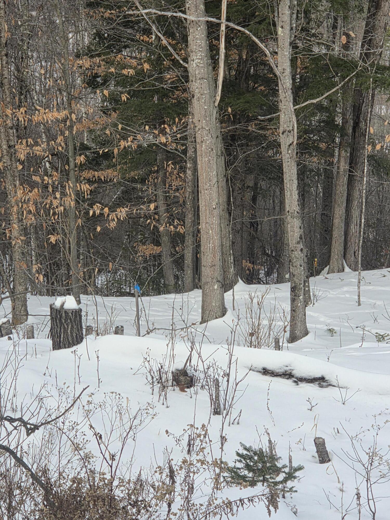 22 E Dixfield Road Dixfield ME 04224