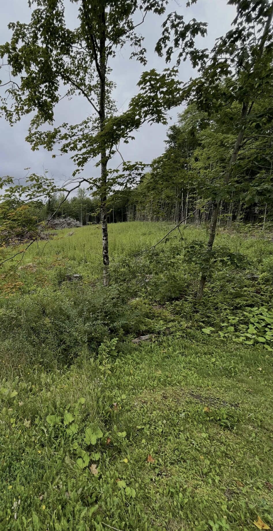 M7/L18-2,3 Ladd Road Sebec ME 04481