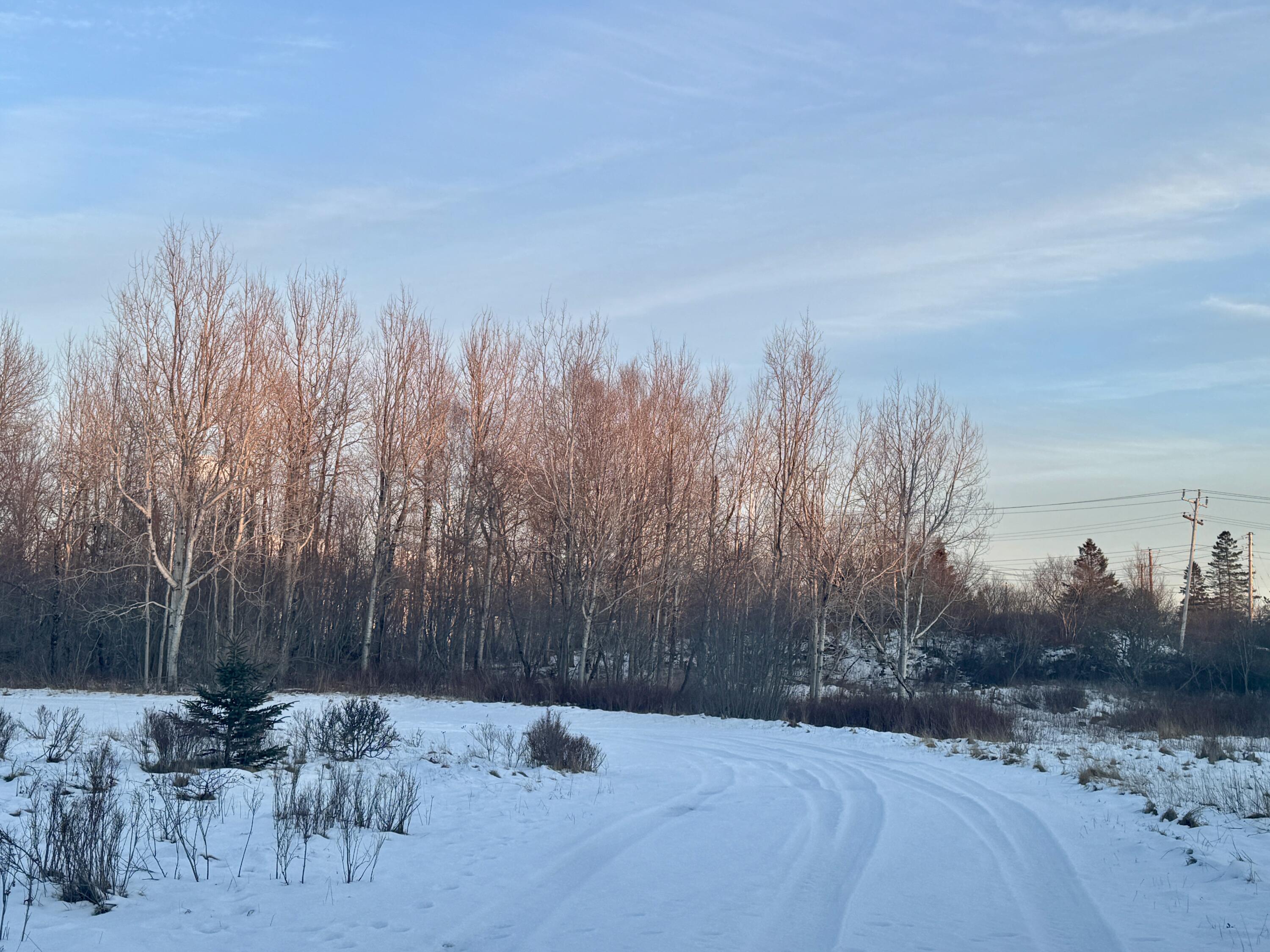 119 County Road Eastport ME 04631