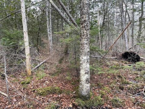 225 Priest Road Northport ME 04849