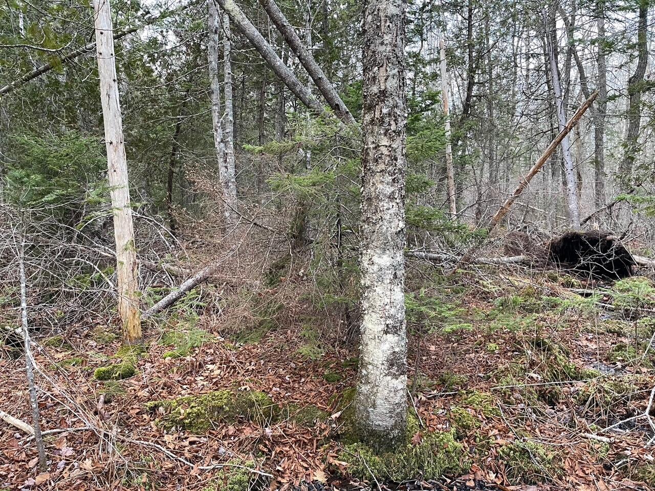 225 Priest Road Northport ME 04849