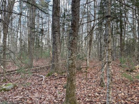 225 Priest Road Northport ME 04849