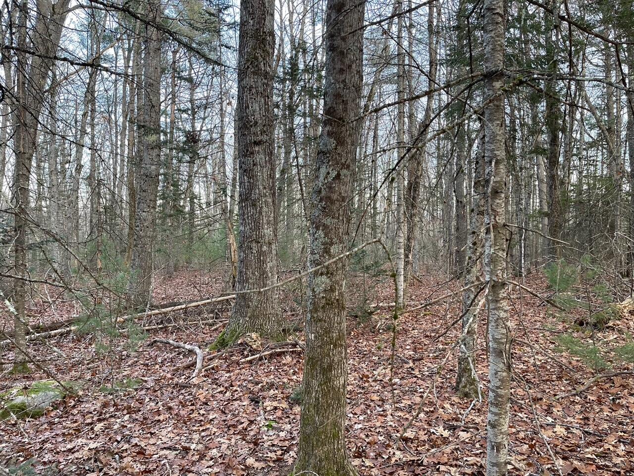 225 Priest Road Northport ME 04849