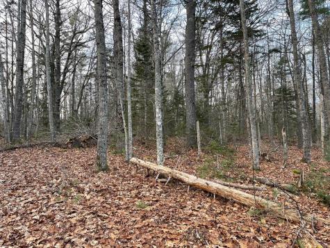 225 Priest Road Northport ME 04849