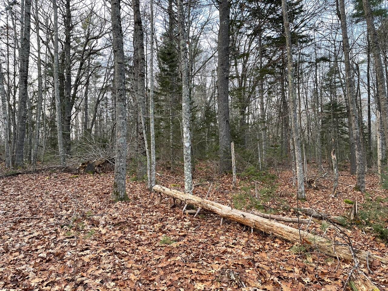 225 Priest Road Northport ME 04849