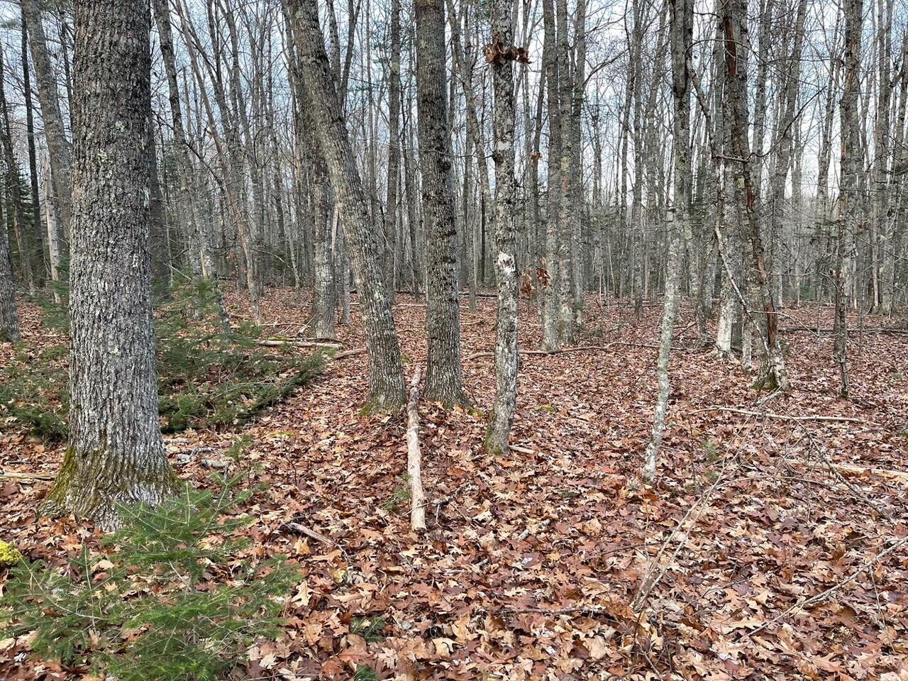 225 Priest Road Northport ME 04849