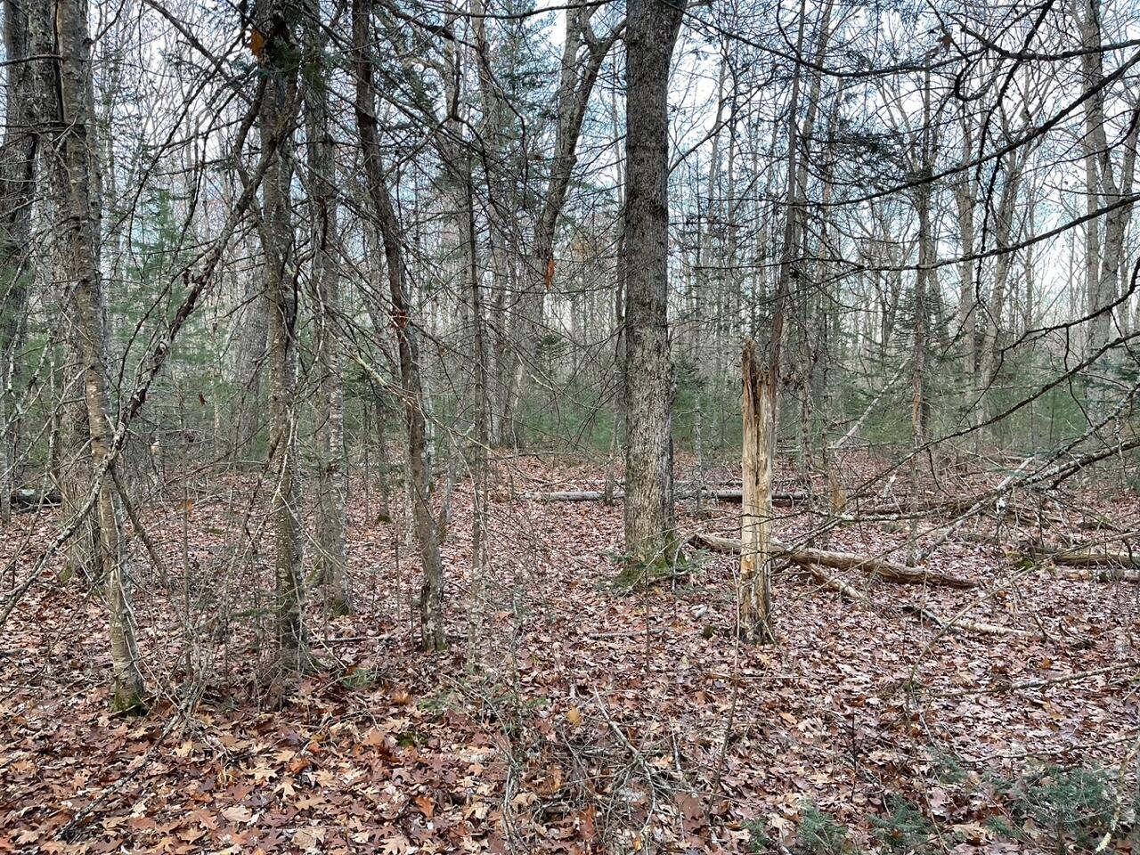 225 Priest Road Northport ME 04849