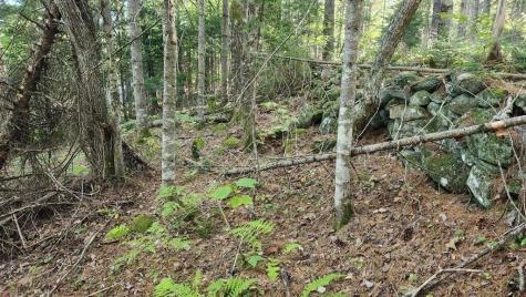 Lot 32 Route 148 Starks ME 04911