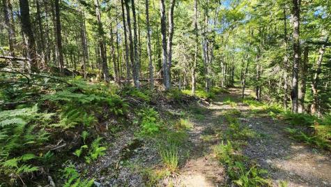 Lot 32 Route 148 Starks ME 04911