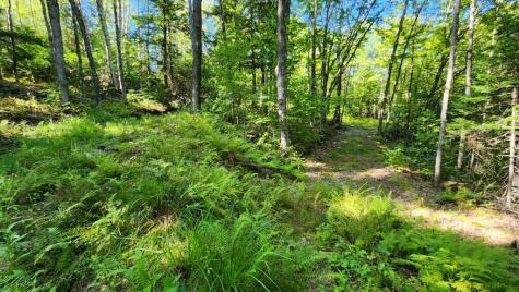 Lot 32 Route 148 Starks ME 04911