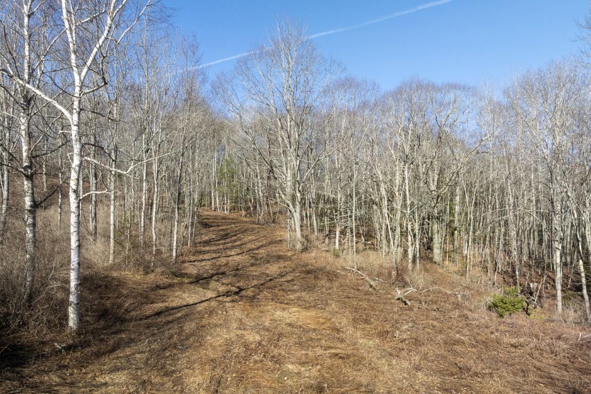 P/o Lot 38 River Road Edgecomb ME 04556