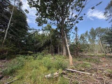 M3L66&66-2 Sunset Cross Road Deer Isle ME 04627