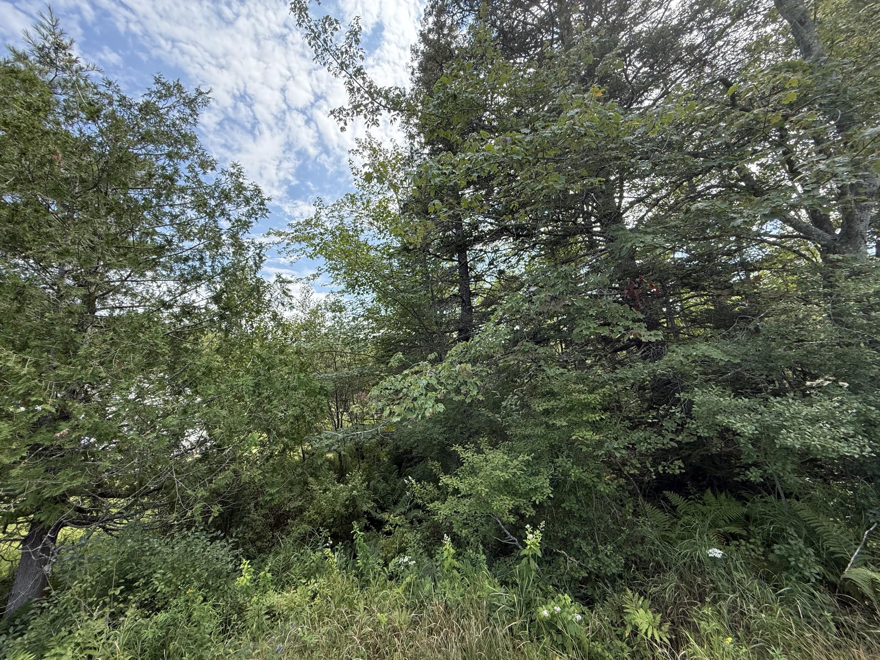 M3L66&66-2 Sunset Cross Road Deer Isle ME 04627