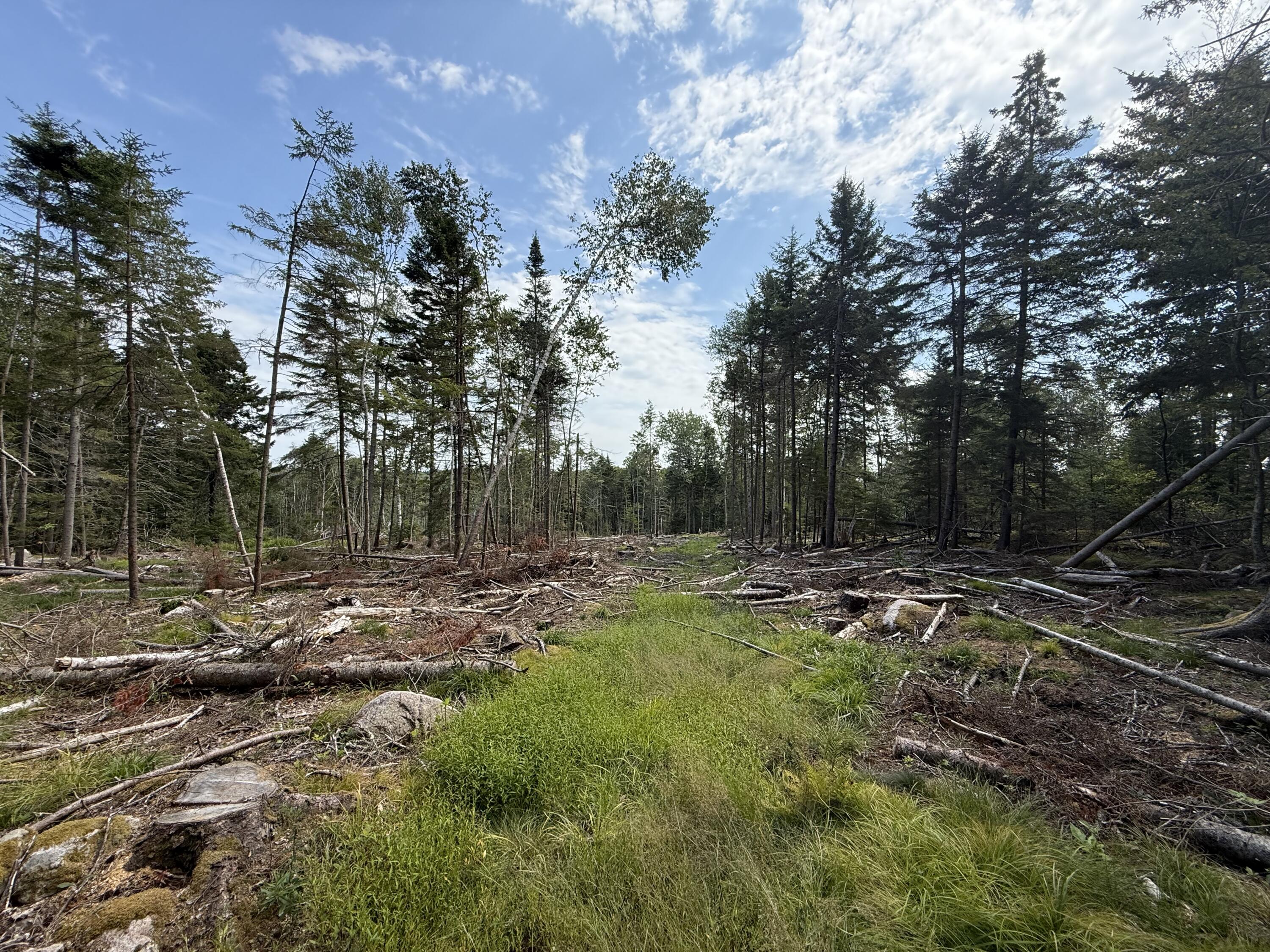 M3L66&66-2 Sunset Cross Road Deer Isle ME 04627