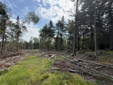 M3L66&66-2 Sunset Cross Road Deer Isle ME 04627