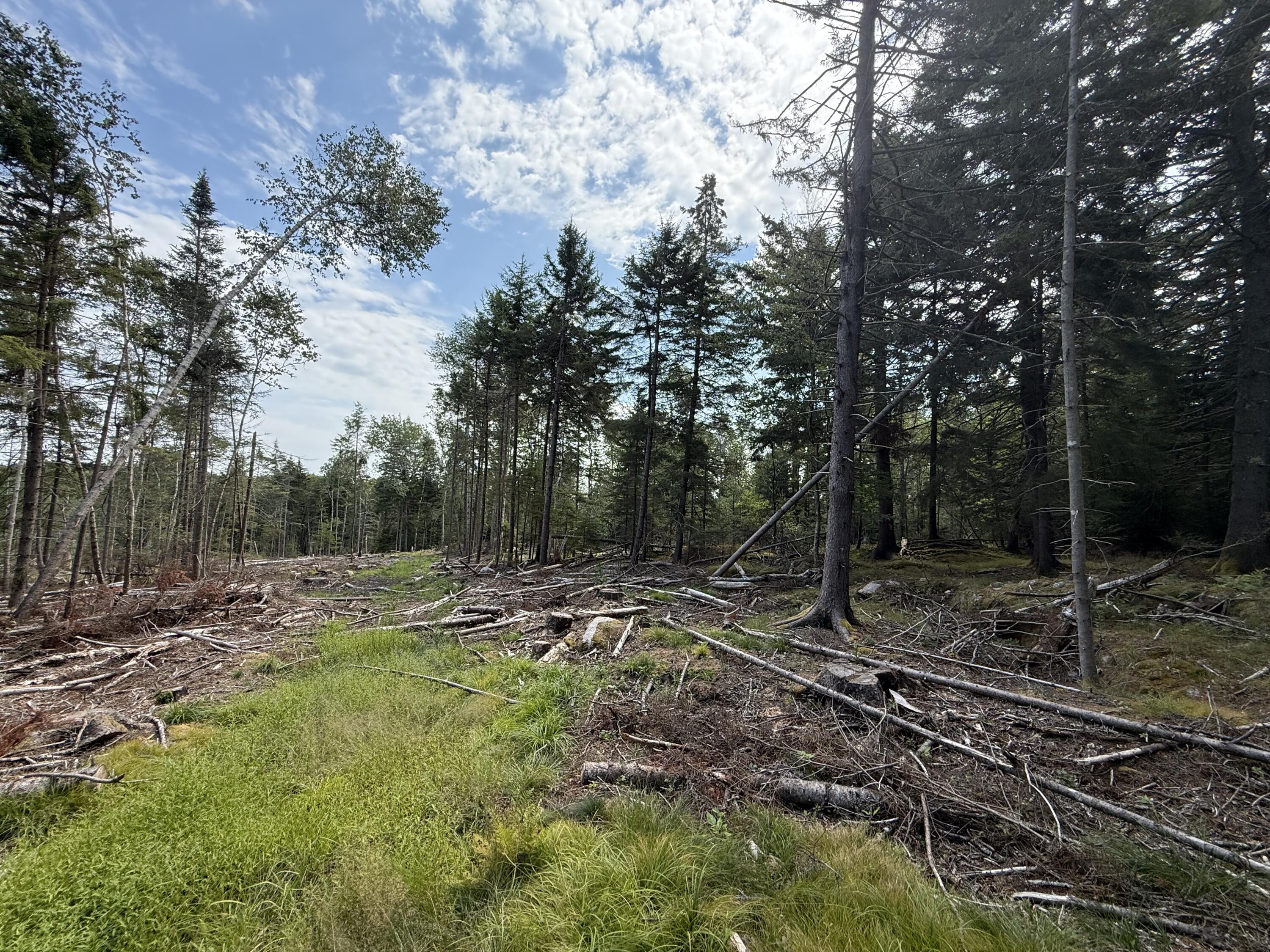 M3L66&66-2 Sunset Cross Road Deer Isle ME 04627