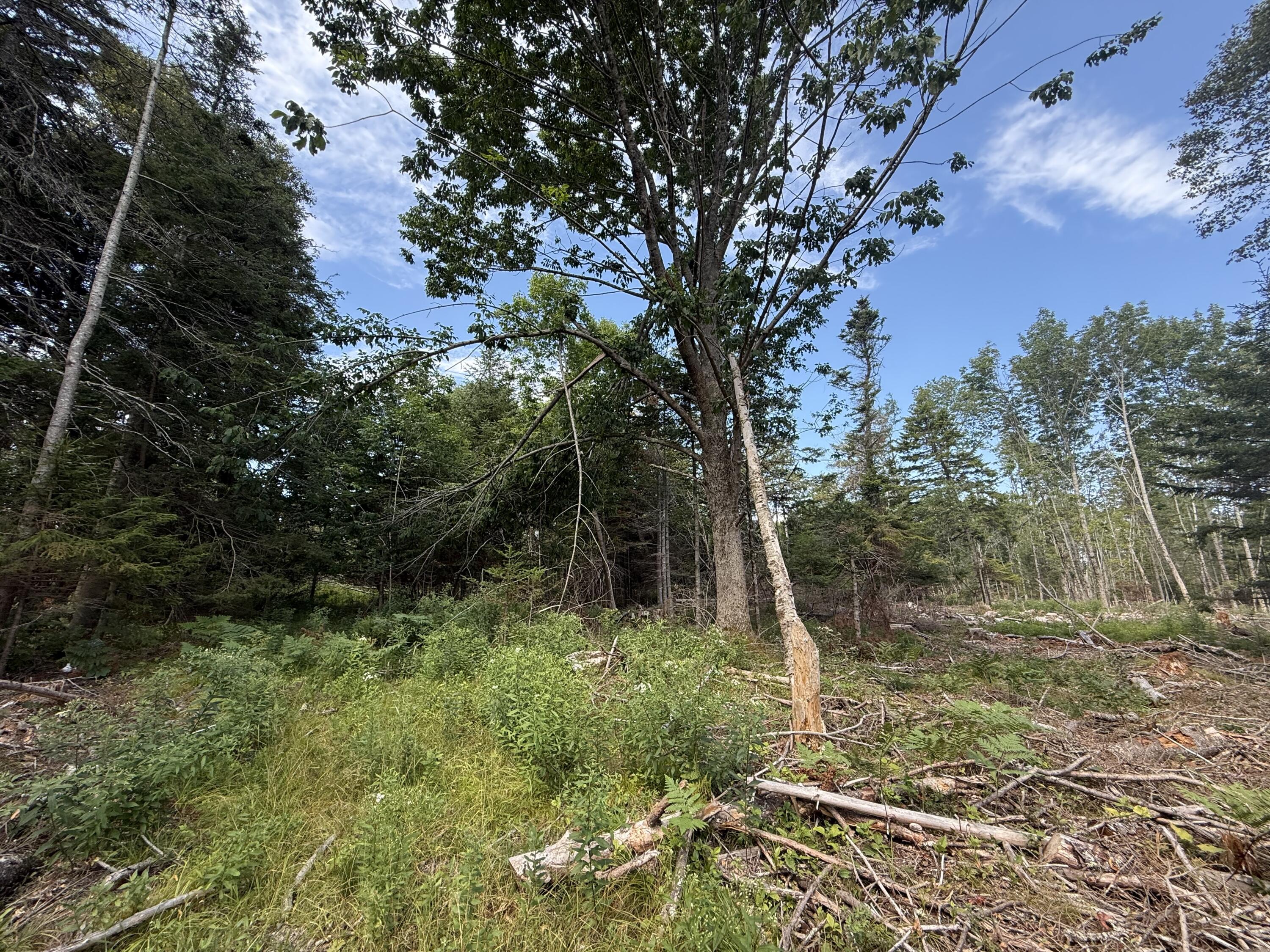 M3L66&66-2 Sunset Cross Road Deer Isle ME 04627