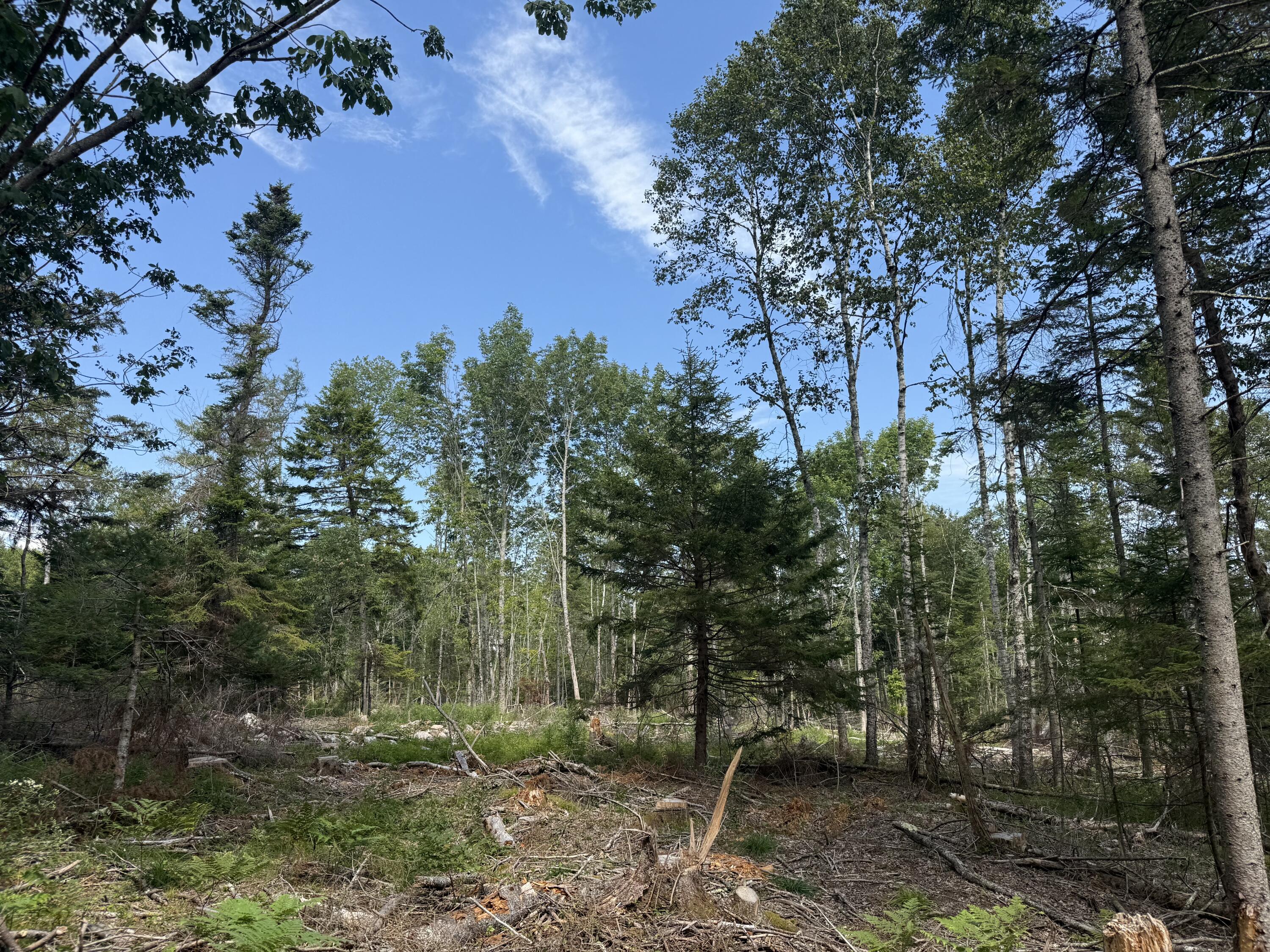 M3L66&66-2 Sunset Cross Road Deer Isle ME 04627