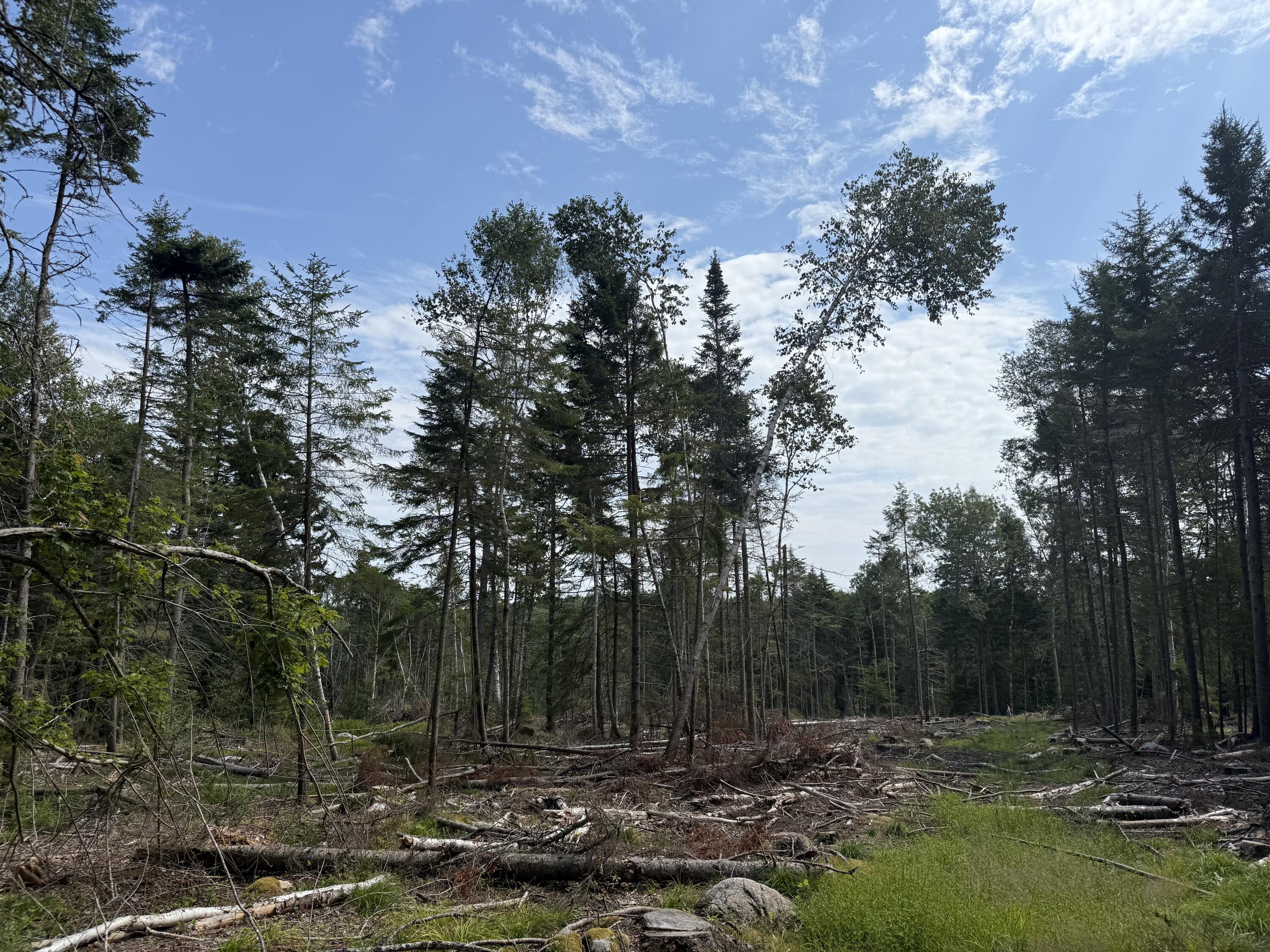 M3L66&66-2 Sunset Cross Road Deer Isle ME 04627