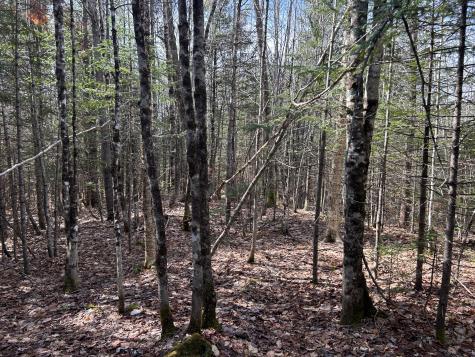 Lot 4 Holley Road Farmington ME 04938