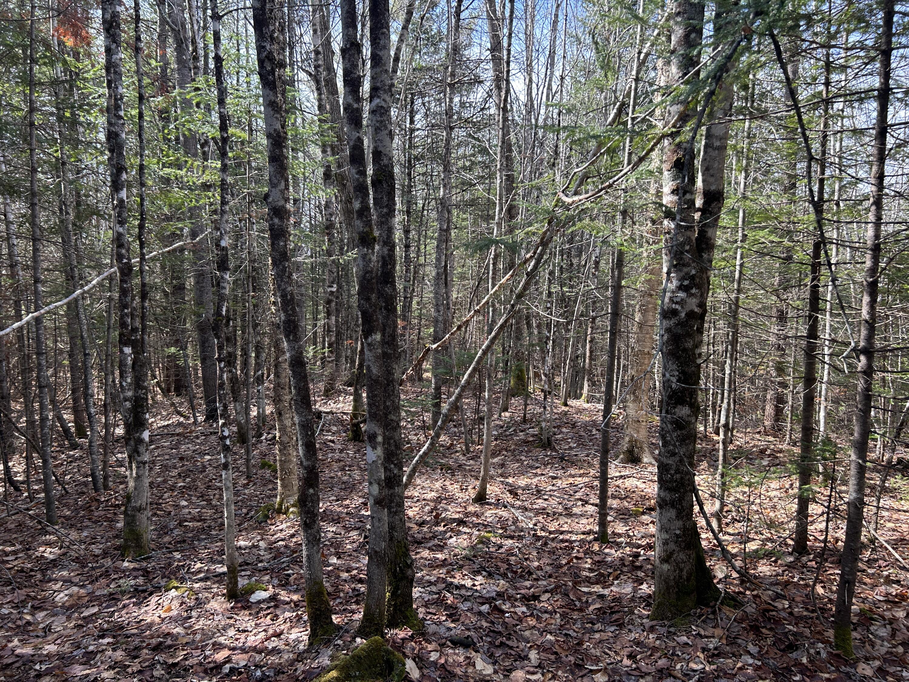 Lot 4 Holley Road Farmington ME 04938