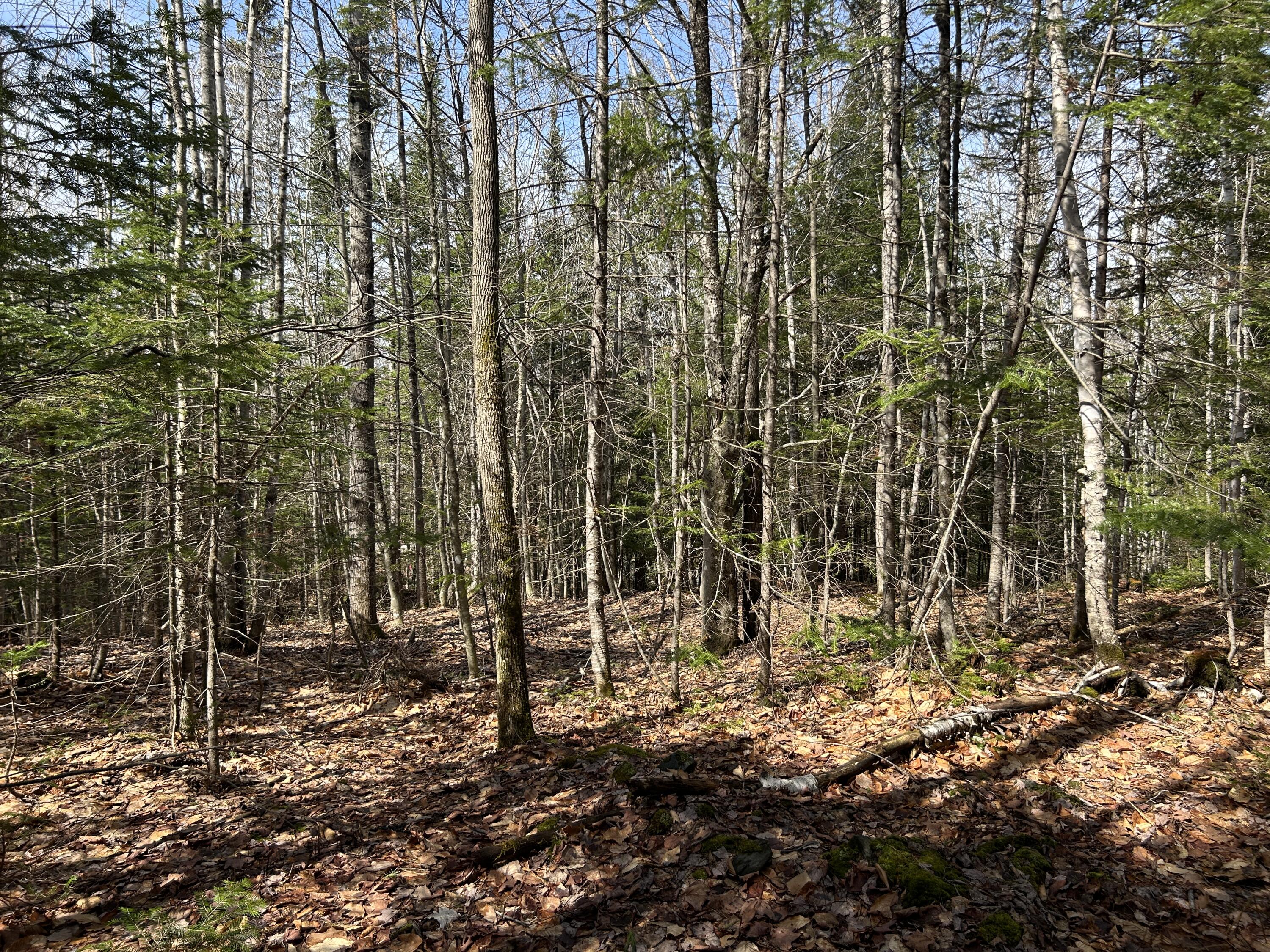 Lot 4 Holley Road Farmington ME 04938