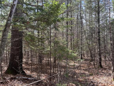 Lot 4 Holley Road Farmington ME 04938