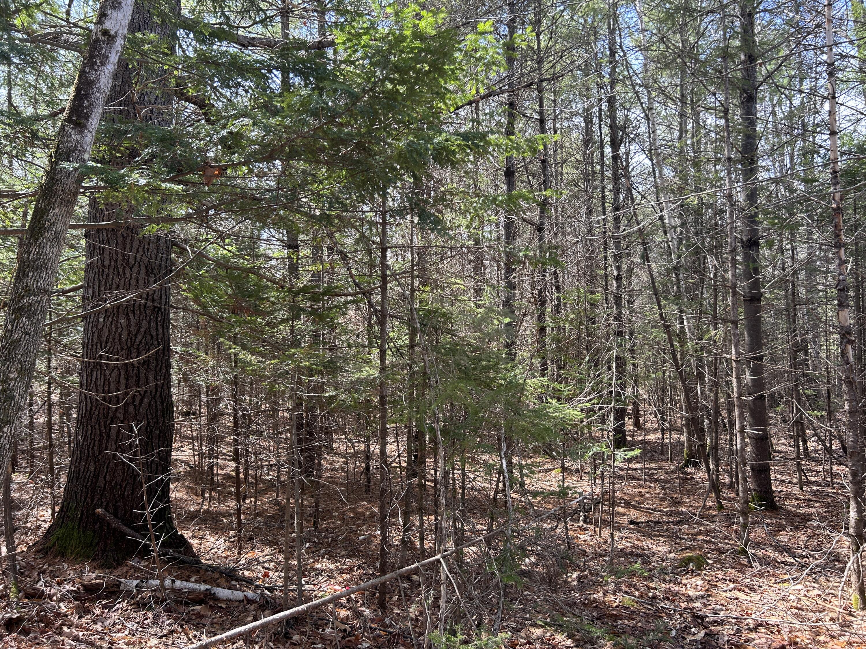 Lot 4 Holley Road Farmington ME 04938