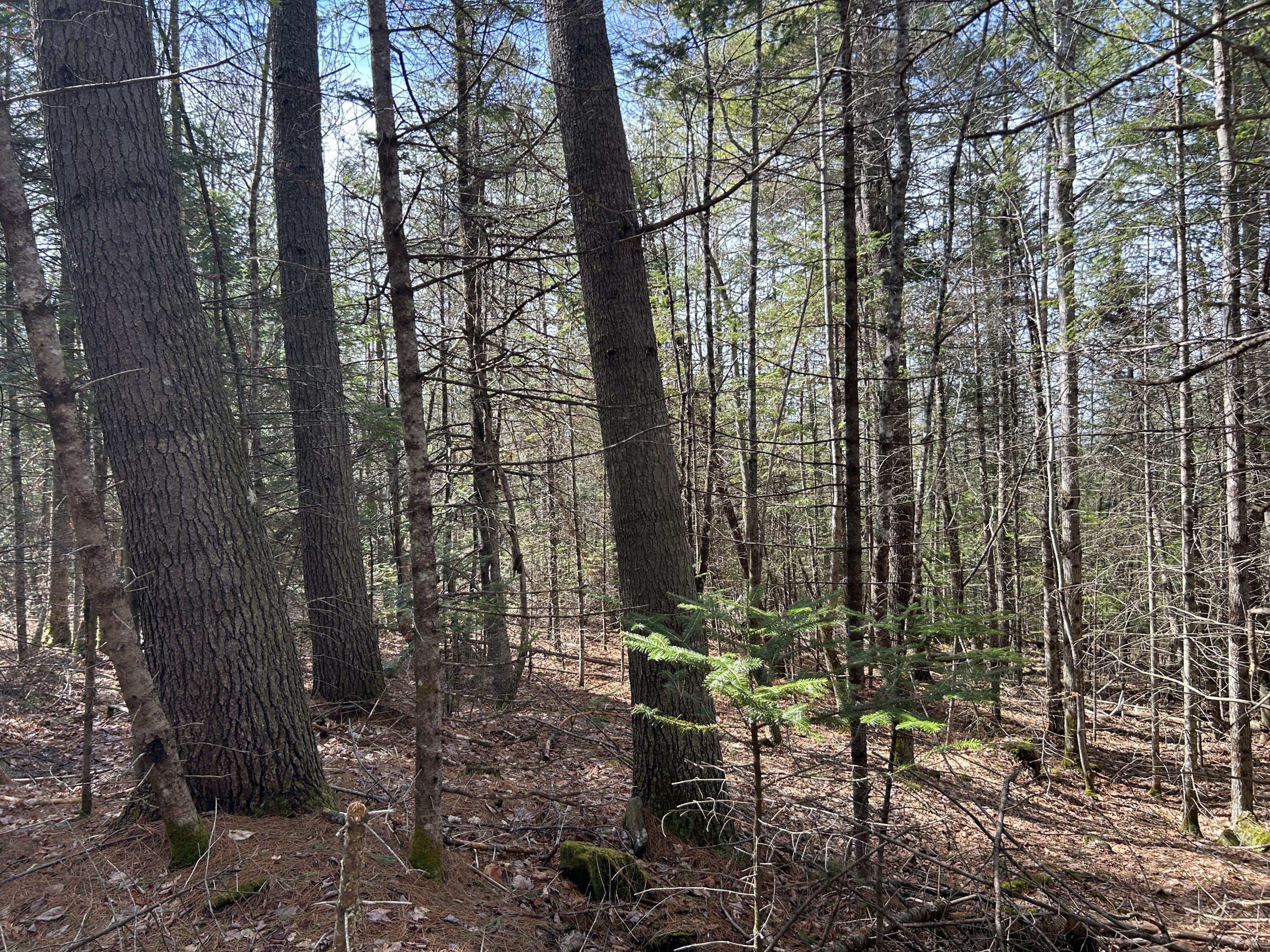 Lot 4 Holley Road Farmington ME 04938