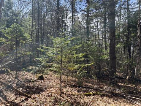 Lot 4 Holley Road Farmington ME 04938