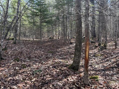 Lot 4 Holley Road Farmington ME 04938