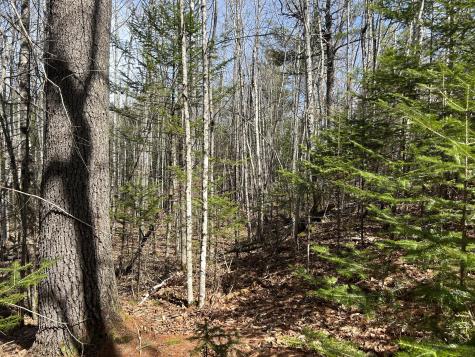 Lot 4 Holley Road Farmington ME 04938