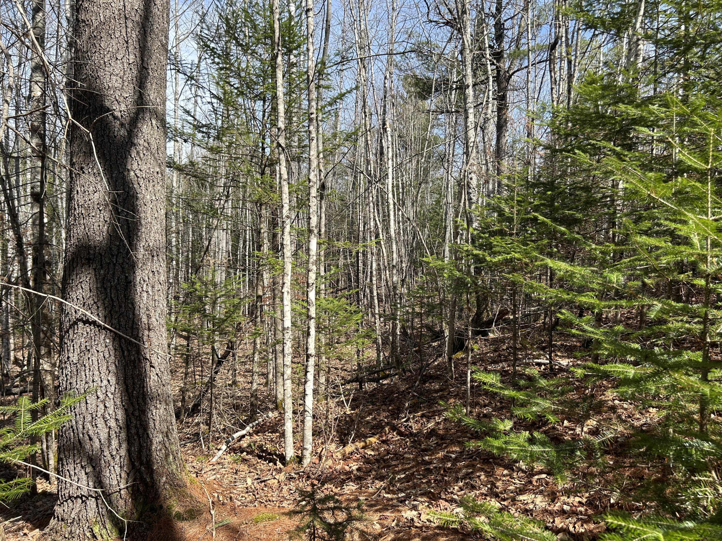 Lot 4 Holley Road Farmington ME 04938