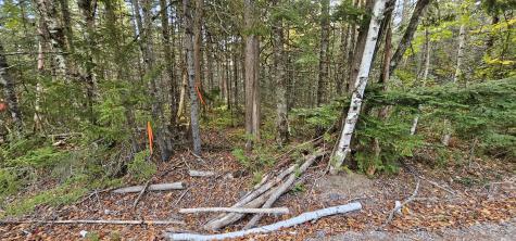 Map 12, Part Of Lot 31, Macomber Mill Road Franklin ME 04634