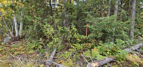 Map 12, Part Of Lot 31, Macomber Mill Road Franklin ME 04634