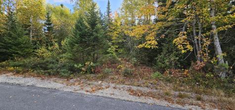 Map 12, Part Of Lot 31, Macomber Mill Road Franklin ME 04634
