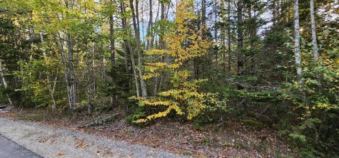 Map 12, Part Of Lot 31, Macomber Mill Road Franklin ME 04634