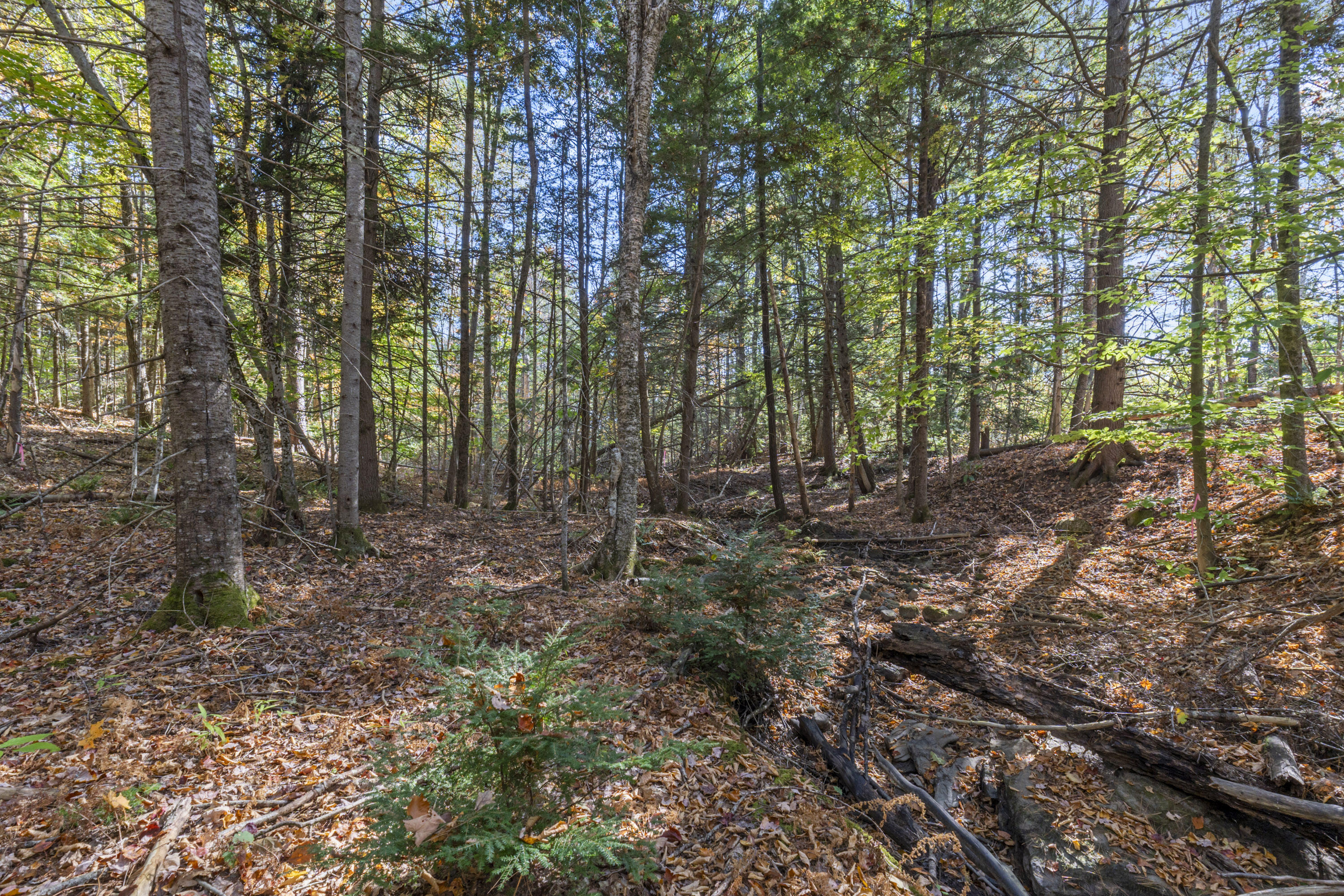 215 Ward Road Topsham ME 04086