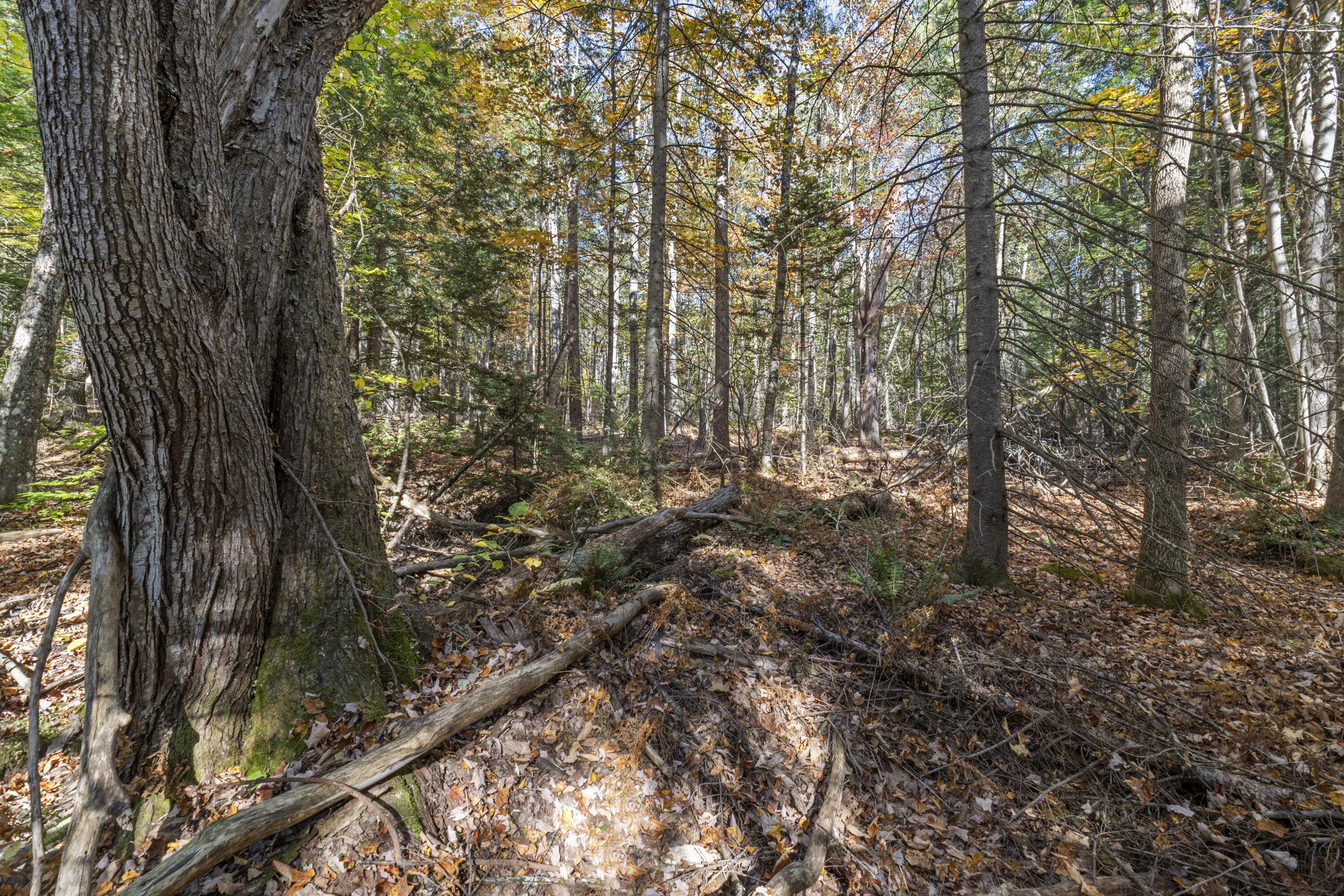 215 Ward Road Topsham ME 04086