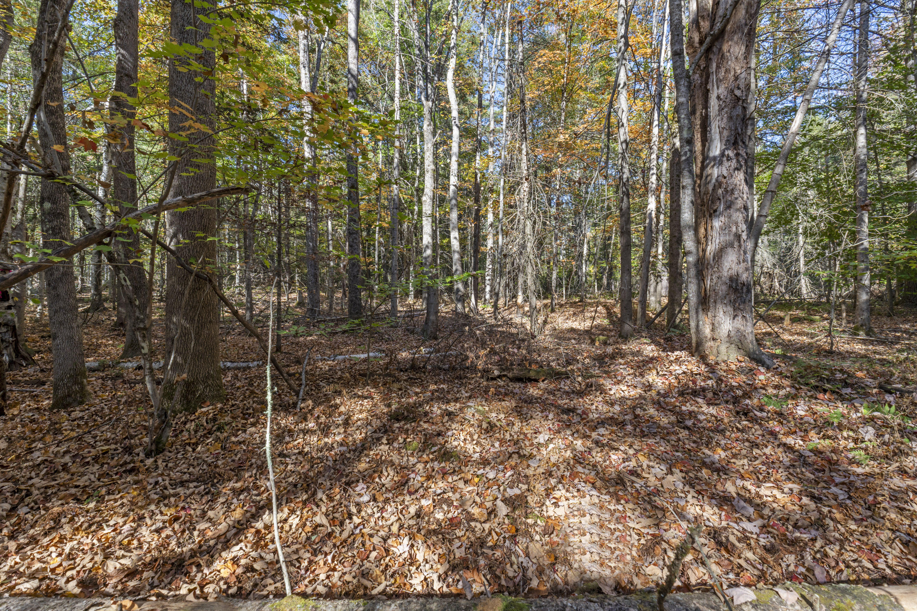 215 Ward Road Topsham ME 04086